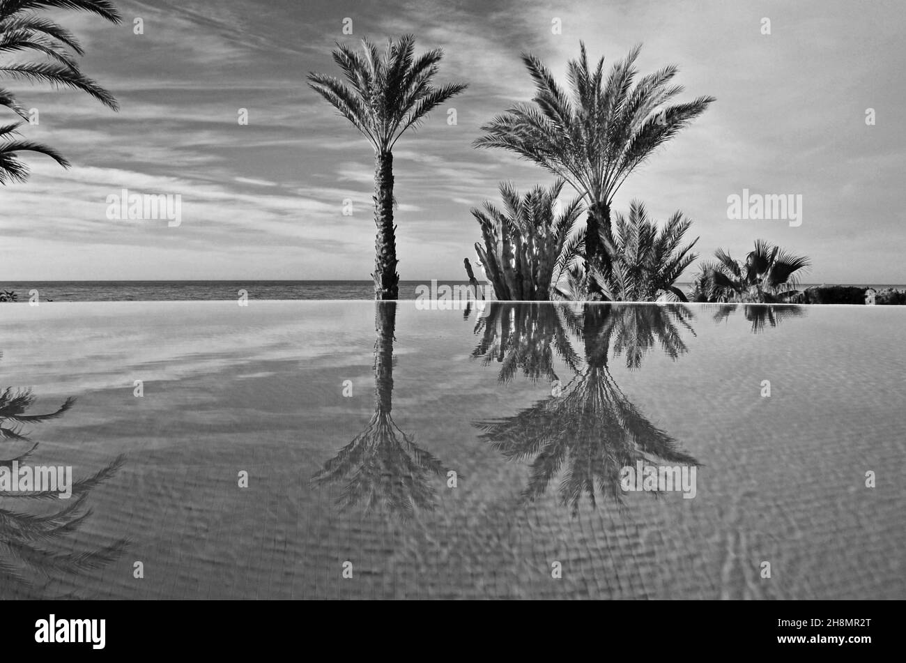 Piscina a sfioro con palme sul mare, piscina sul mare, palme riflesse in piscina, riflessione in acqua, Andalusia, Spagna Foto Stock