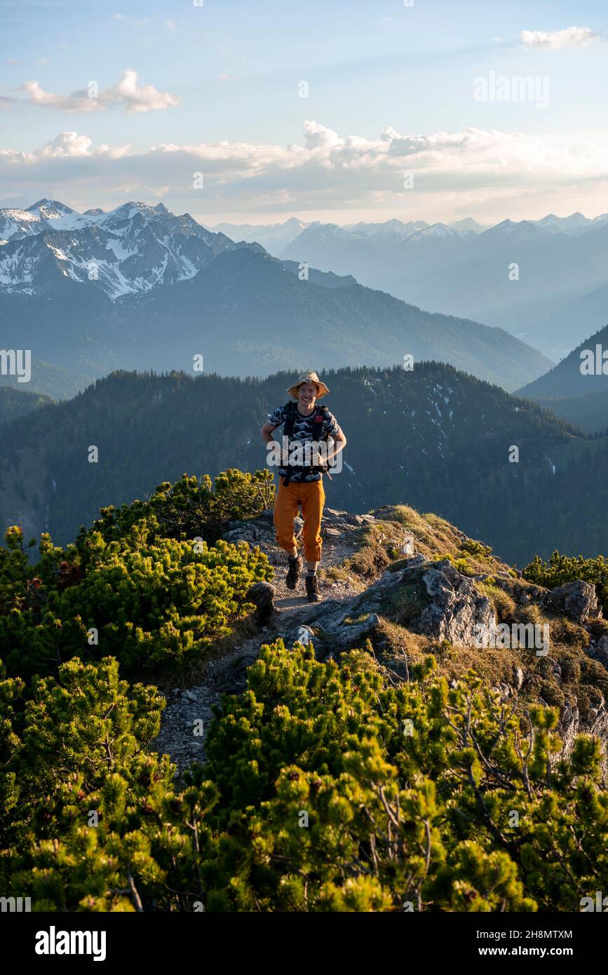 Escursioni a piedi con pini di montagna, sole serale, dietro le montagne Soierngruppe, escursione cresta Herzogstand Heimgarten, alta Baviera, Baviera Foto Stock