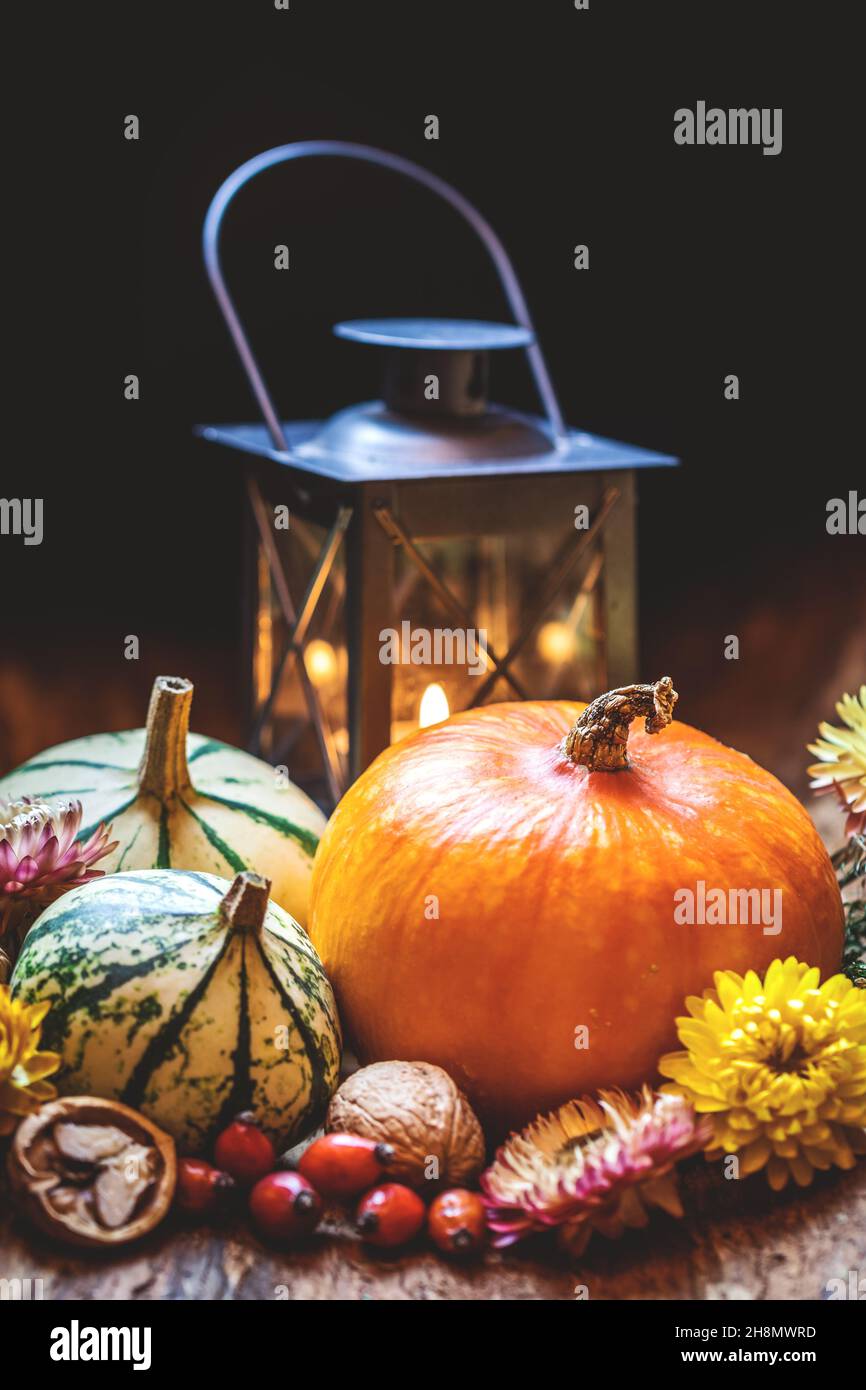 Festa del raccolto autunnale, giorno del Ringraziamento o sfondo di Halloween. Stagione autunnale ancora vita concetto. Zucche, rosa anca, noce, fiore secco, lanterna Foto Stock