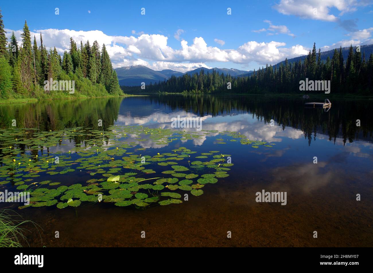 Idilliaco lago con rose di lago, foresta e montagne, laghi Lasalle, Prince George, Canada occidentale, British Columbia, Canada Foto Stock