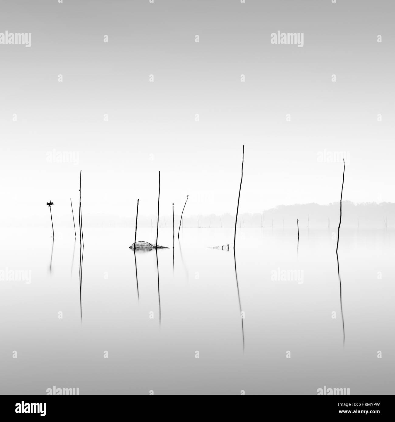 Pile minimaliste di reti da pesca allagate e trappole per pesci sul lago Trasimeno, Italia Foto Stock