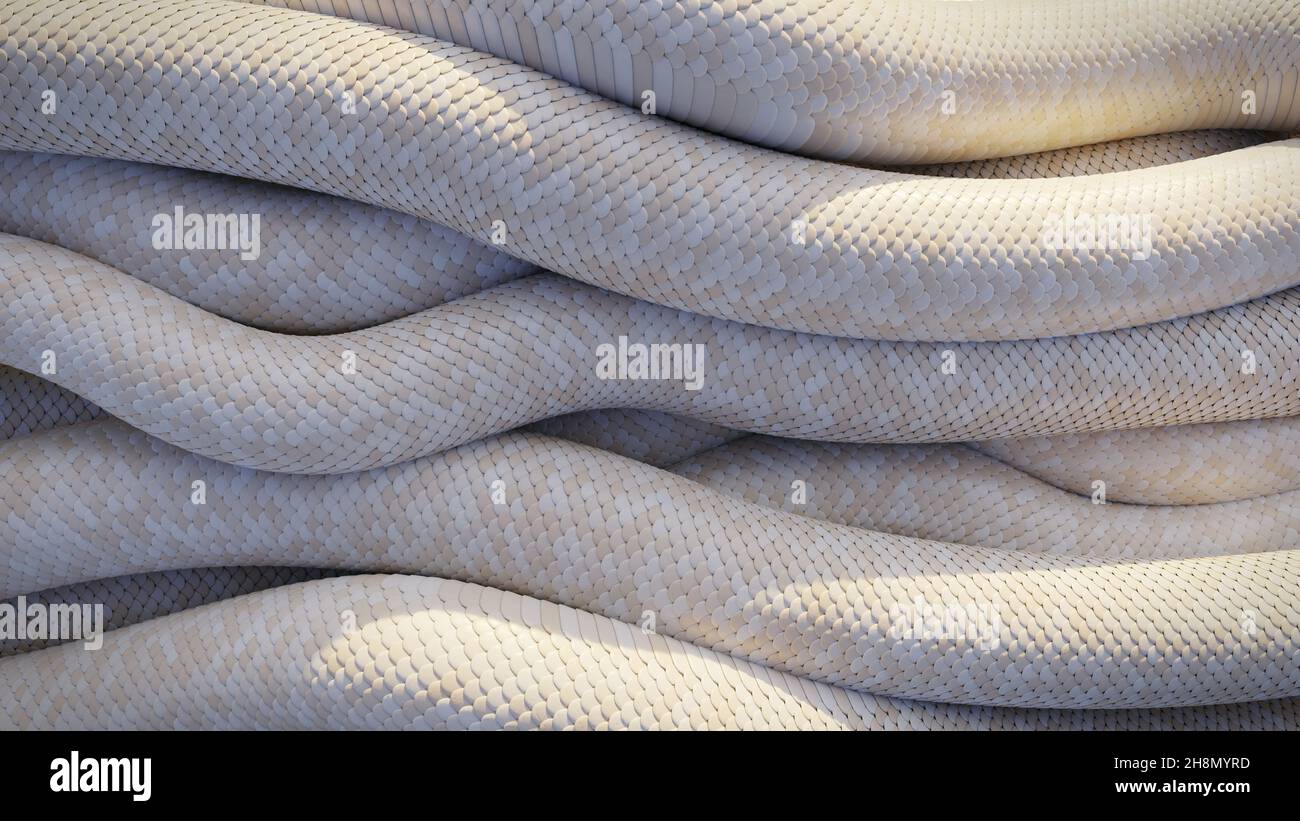 albino serpente sfondo Foto Stock