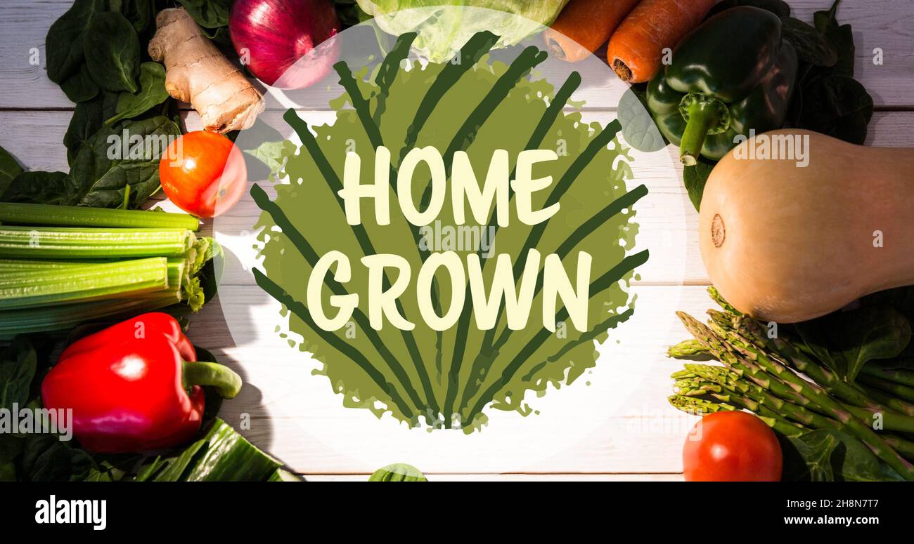 Testo simbolo coltivato in casa su verdure fresche disposte sul tavolo Foto Stock