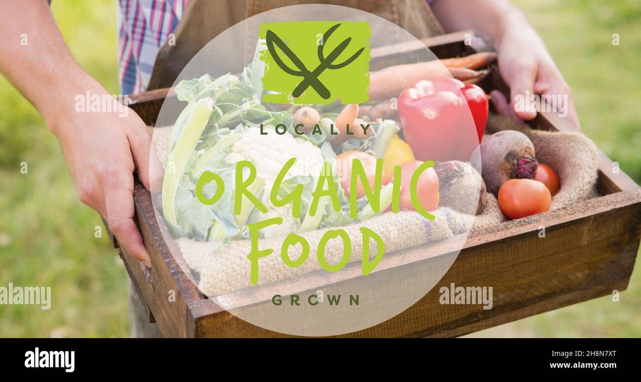Simbolo di cibo biologico coltivato localmente con la sezione centrale dell'uomo che tiene la cassa di verdure Foto Stock