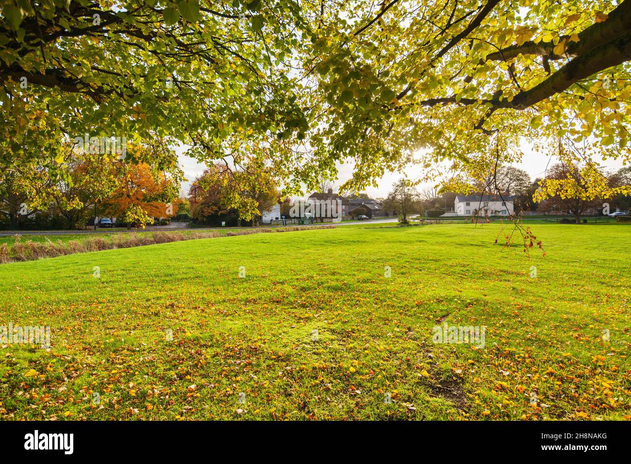 Tradizionale inglese villaggio verde in autunno luce del sole - Barrington, Cambridge, Regno Unito. Foto Stock