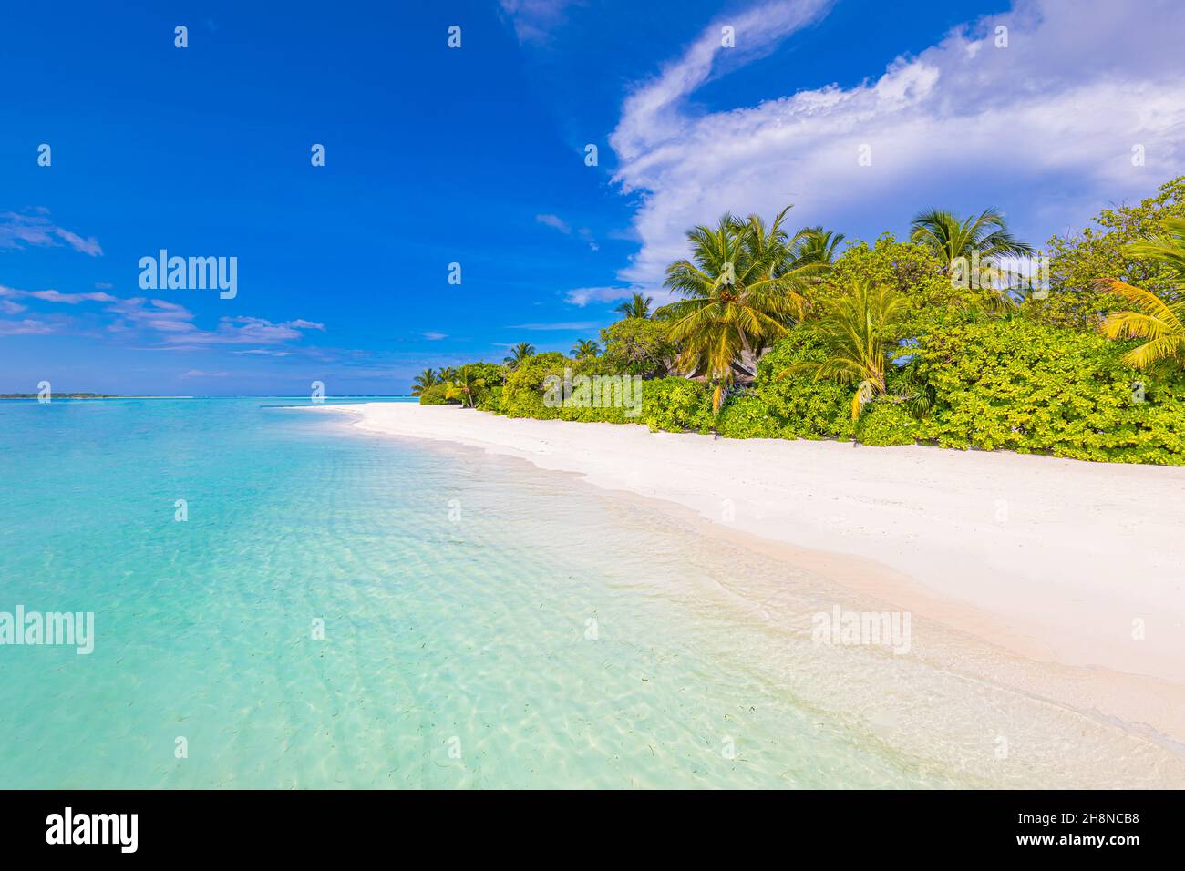 Splendida spiaggia paradisiaca. Paesaggio tropicale di estate paesaggio isola palme di sabbia bianca. Destinazione di vacanza di lusso. Paesaggio esotico della spiaggia Foto Stock