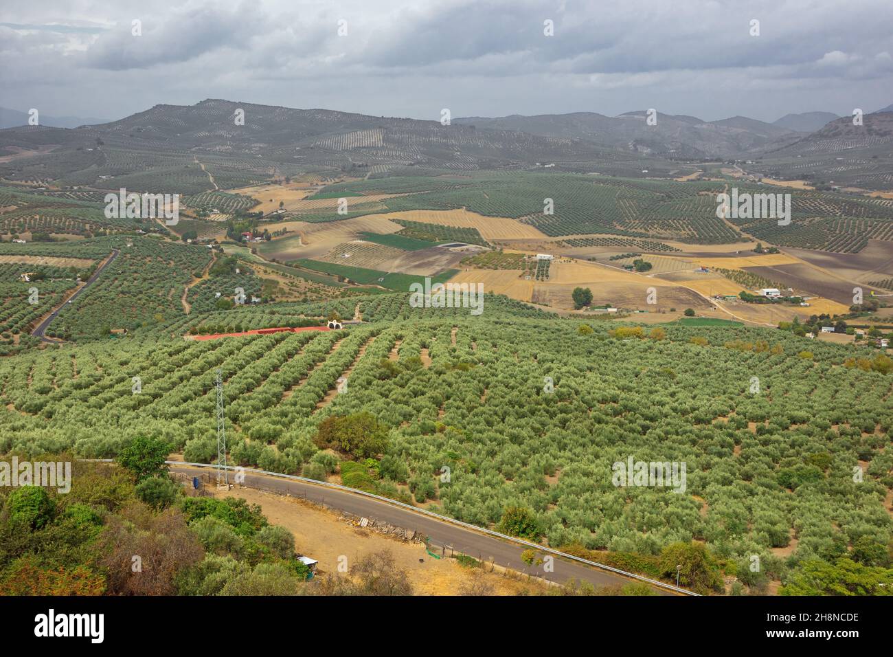 Oliveti intorno ad Alcala la Real, visto dalla fortezza la Mota sopra la città Foto Stock