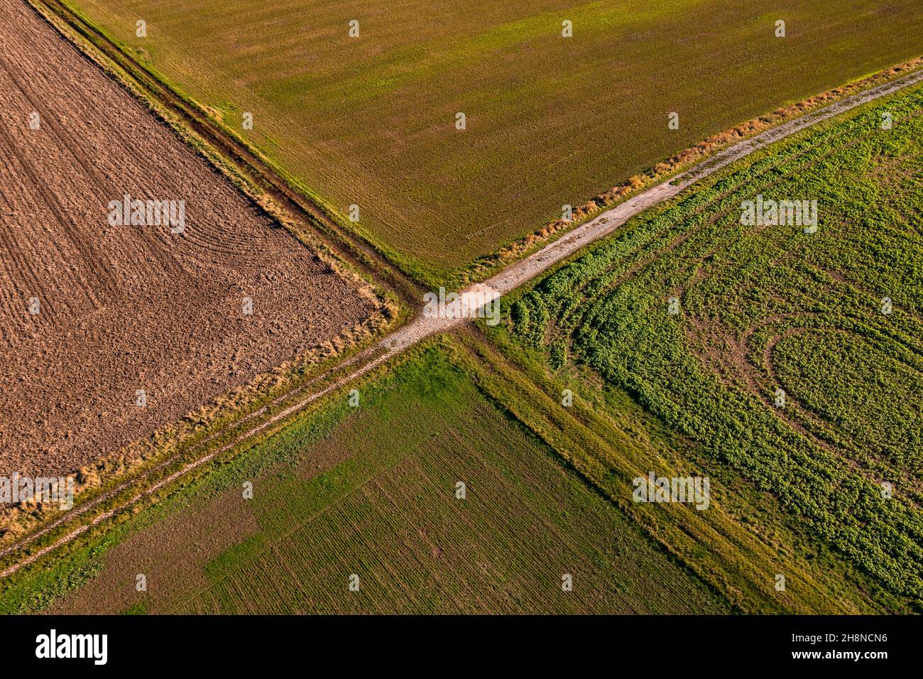 Vista aerea di un sentiero lastricato e di una strada agricola che formano una croce tra i campi Foto Stock