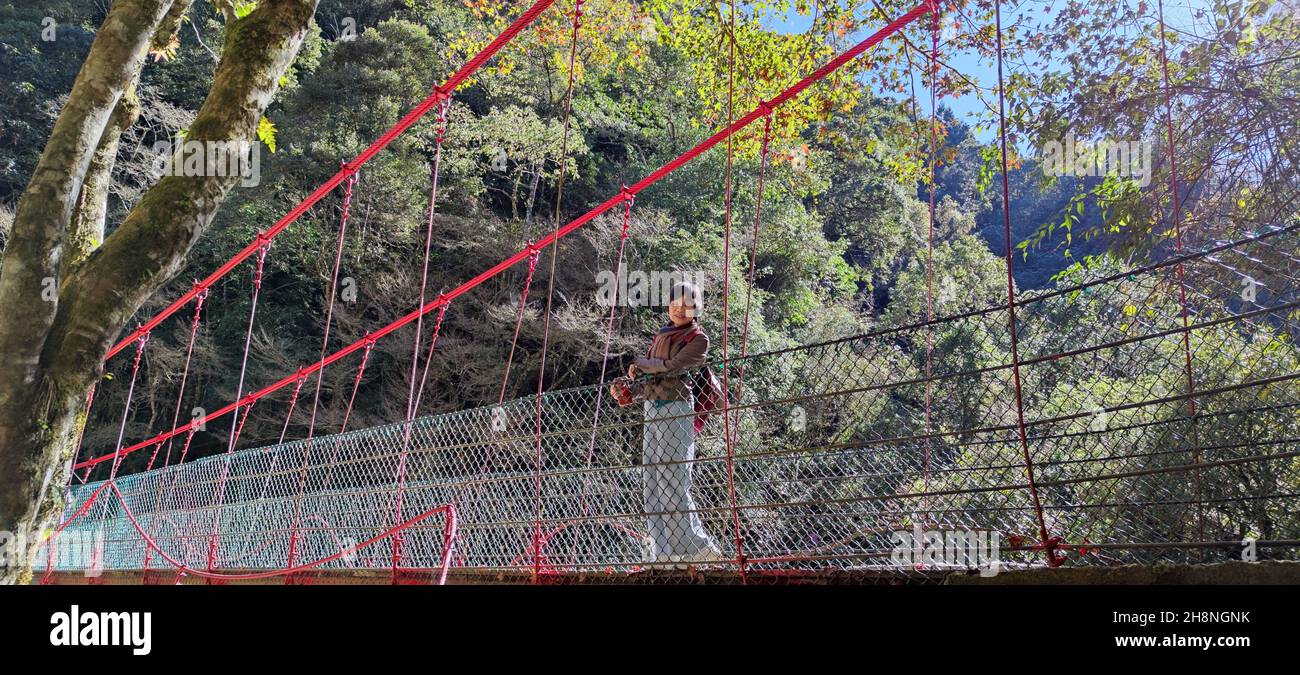Zhushan, Contea di Nantou - 1 dicembre 2021: Shanlinxi Forest Ecological Resort offre ricche attività a tema, fiori stagionali e ricca ecologia Foto Stock