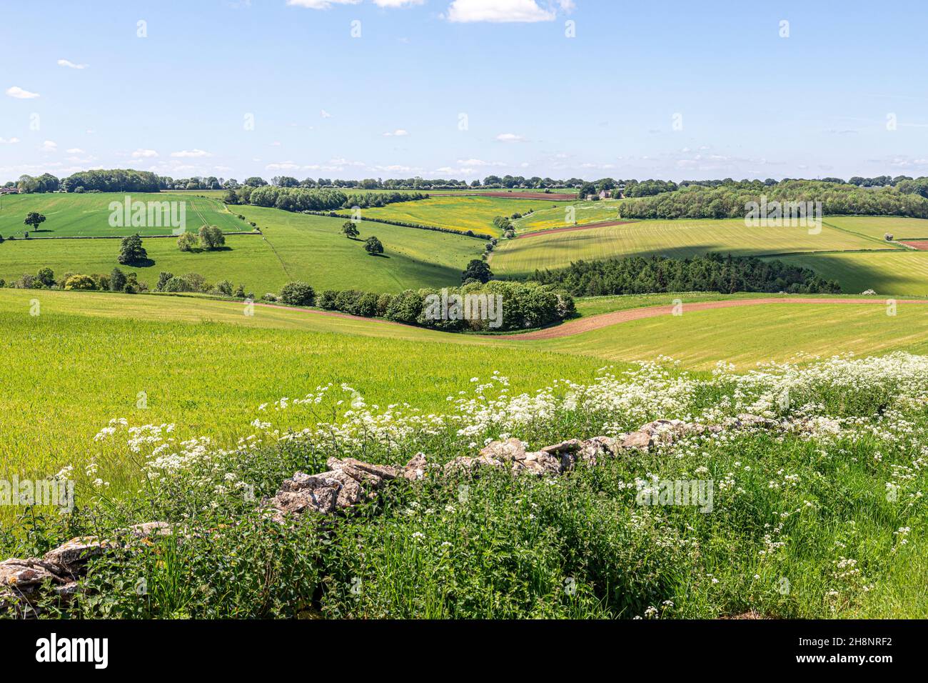 Un paesaggio tipico del Cotswold vicino al Turkdean, Gloucestershire Regno Unito Foto Stock