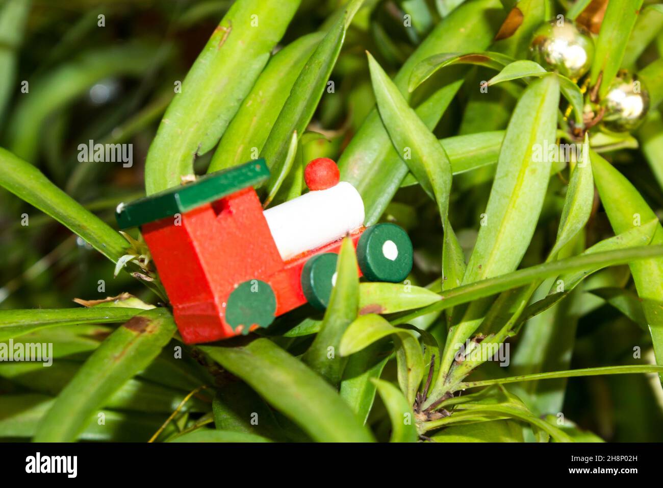 Un piccolo ornamento di treno di legno tra le foglie a forma di falce di un bosco di Yellowwood di Henkel, che serve come albero di Natale Foto Stock