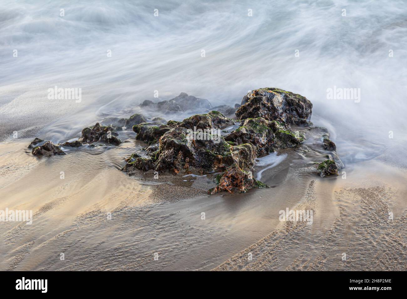 Roccia colorata in forma animale sepolta nella spiaggia a Point Dume, Malibu, California. Le forme d'onda receding creano un pattern setoso. Foto Stock