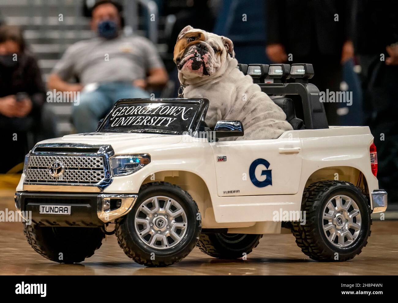 WASHINGTON, DC - NOVEMBRE 30: Georgetown Mascot Jack guida intorno durante un time-out durante una partita di basket dell'università fra il Georgetown Hoyas e. Foto Stock