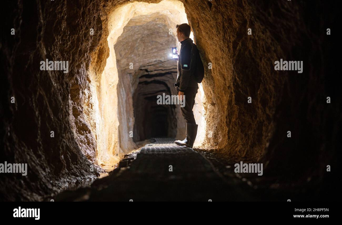 Pittura leggera nel tunnel ferroviario storico, una parte di un vecchio sistema di trasporto miniera d'oro situato nel Collins Drive Circuit, Nuova Zelanda Foto Stock