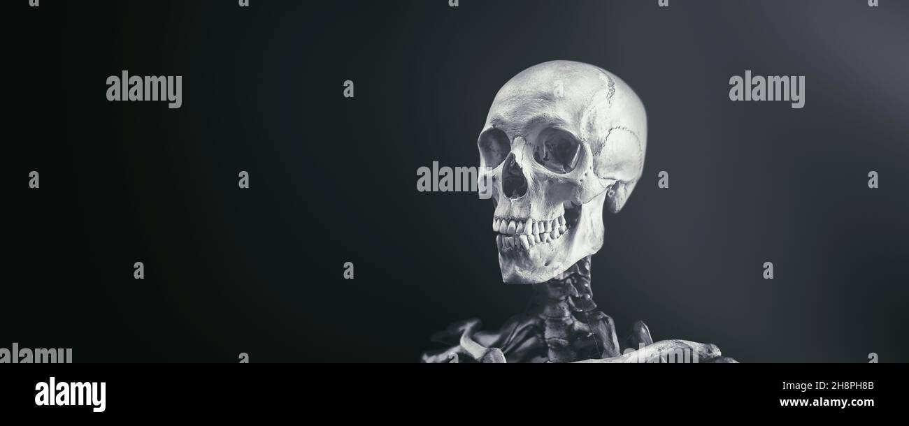 Scheletro di un uomo su sfondo nero. Un vero scheletro umano. Foto Stock