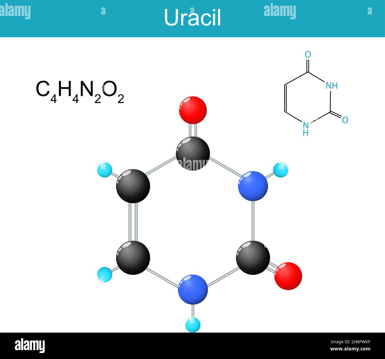 Formula molecolare dell'uracile. Formula di struttura chimica e modello di nucleobasi nell'RNA di acido nucleico. Illustrazione vettoriale Illustrazione Vettoriale
