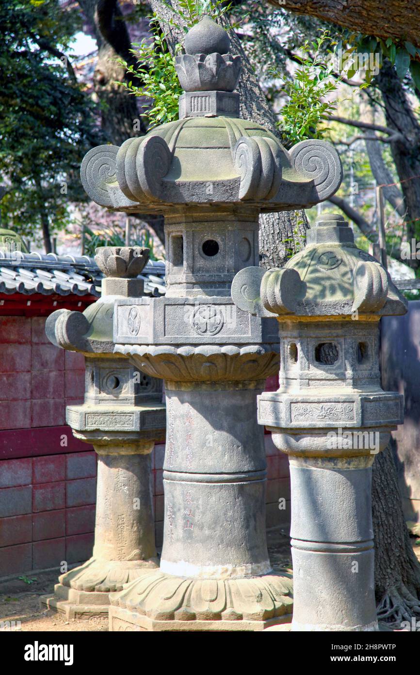 Lanterne in pietra all'ingresso del Santuario di Ueno Toshogu nel Parco di Ueno, Tokyo. E' un antico Santuario Shinto con molte parti ricoperte di lamina d'oro. Foto Stock