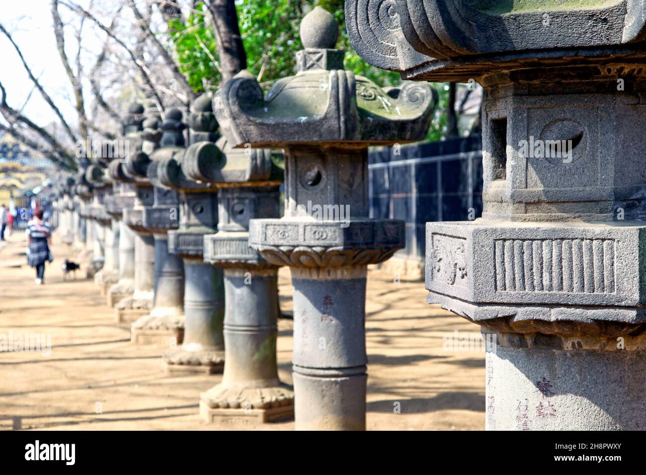 Lanterne in pietra all'ingresso del Santuario di Ueno Toshogu nel Parco di Ueno, Tokyo. E' un antico Santuario Shinto con molte parti ricoperte di lamina d'oro. Foto Stock