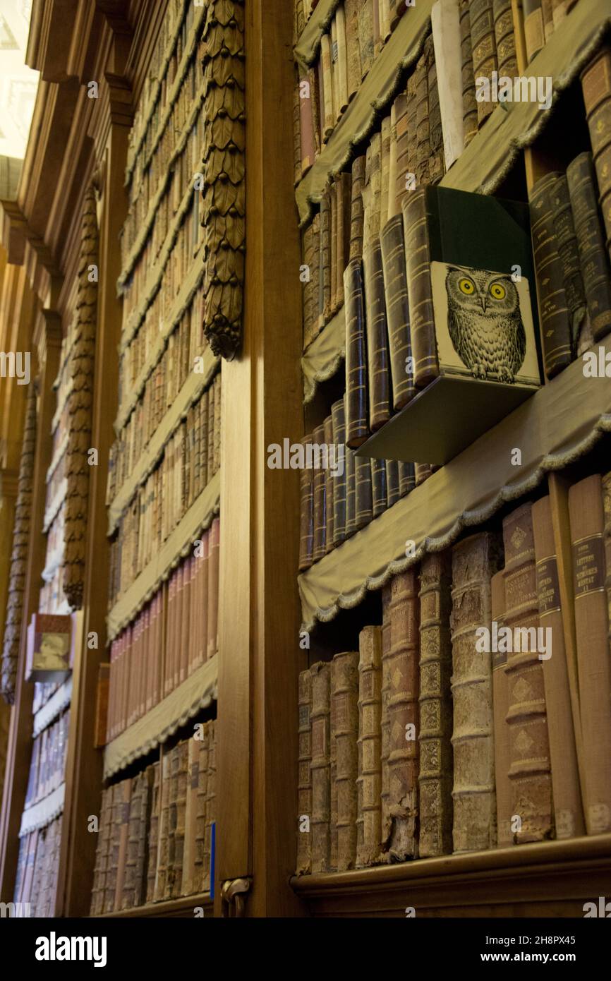 Die berühmte Palatina-Bibliothek a Parma Foto Stock