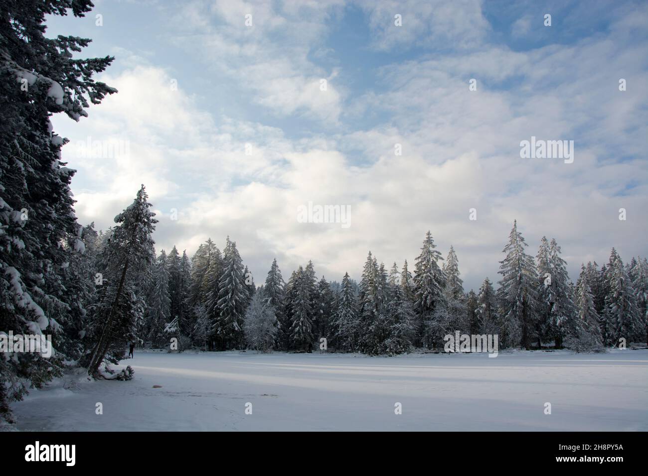 Winterliche Märchenstimmung am Moorsee Etang de la Gruere in den jurassischen Freibergen Foto Stock