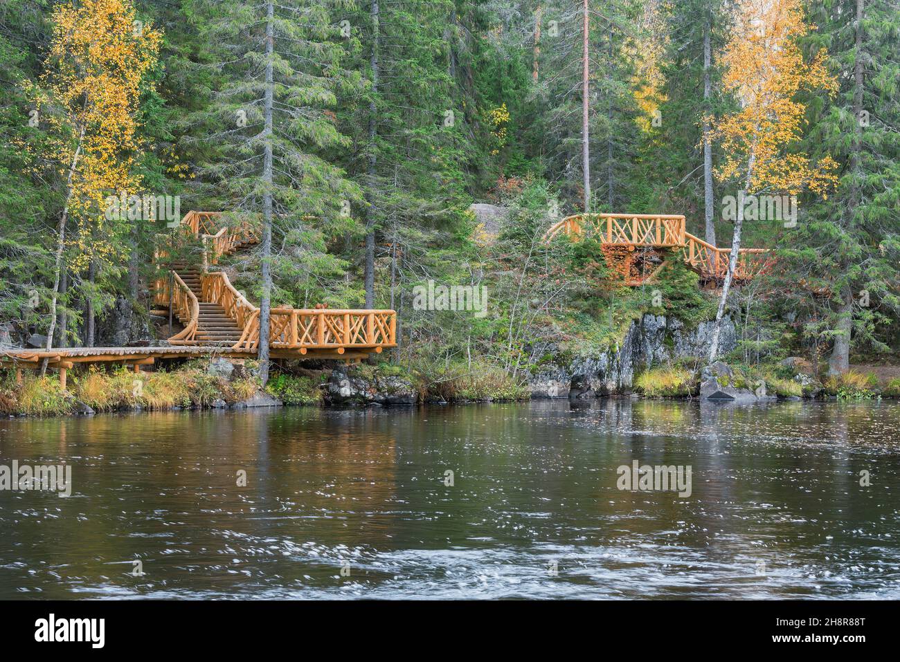 Ponti di legno nella foresta in autunno sera. Foto Stock