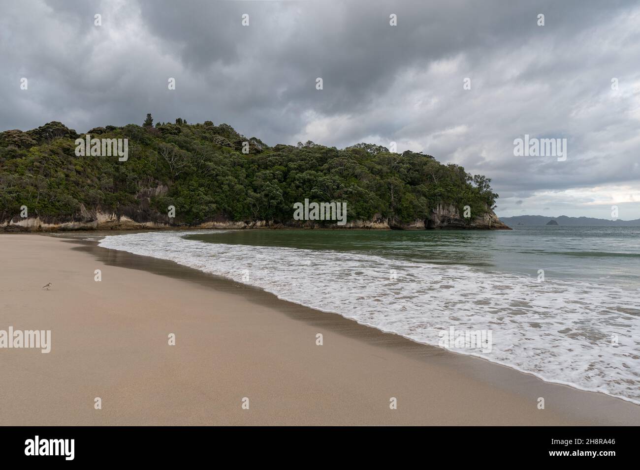 Cooks Beach a Purangi in Nuova Zelanda Foto Stock