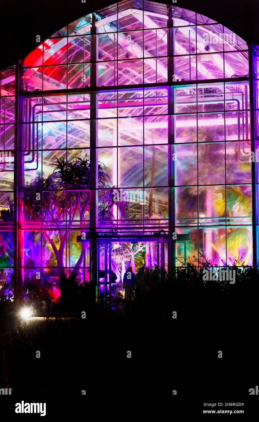 L'iconica moderna Glasshouse illuminata durante Glow 2021, l'evento annuale di illuminazione natalizia al RHS Garden Wisley, Woking, Surrey Foto Stock