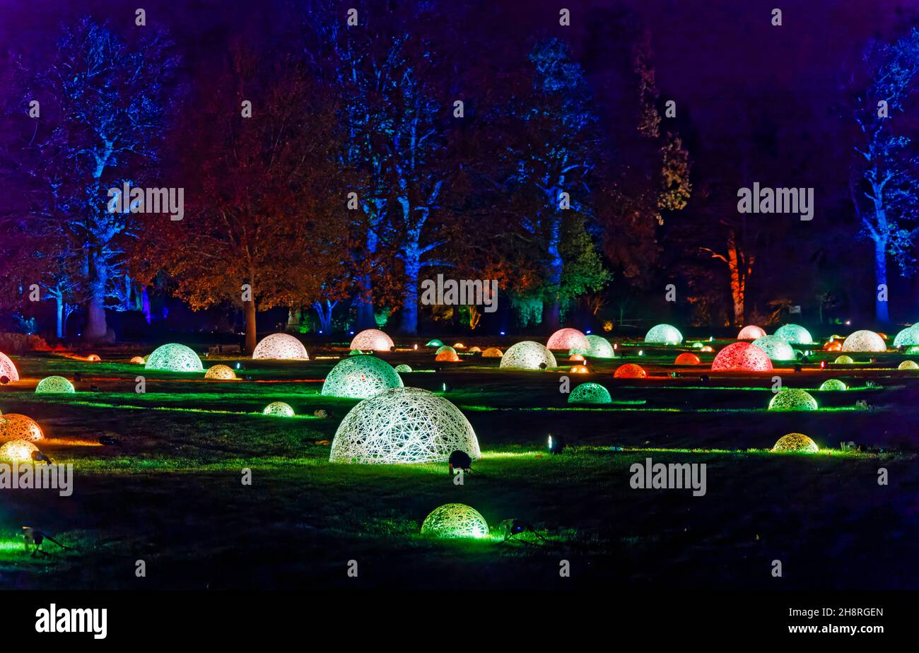 Cupole in vimini multicolore illuminate a colori al Glow 2021, l'evento annuale di illuminazione natalizia al RHS Garden, Wisley, Woking, Surrey Foto Stock