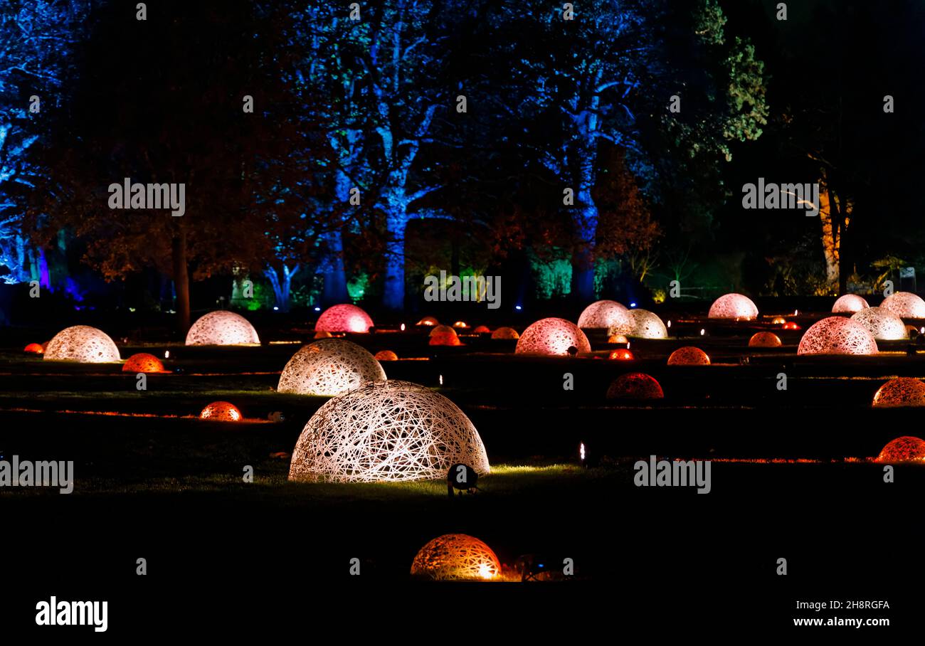 Colorate cupole e alberi di vimini illuminati a Glow 2021, l'evento annuale di illuminazione natalizia al RHS Garden, Wisley, Woking, Surrey Foto Stock
