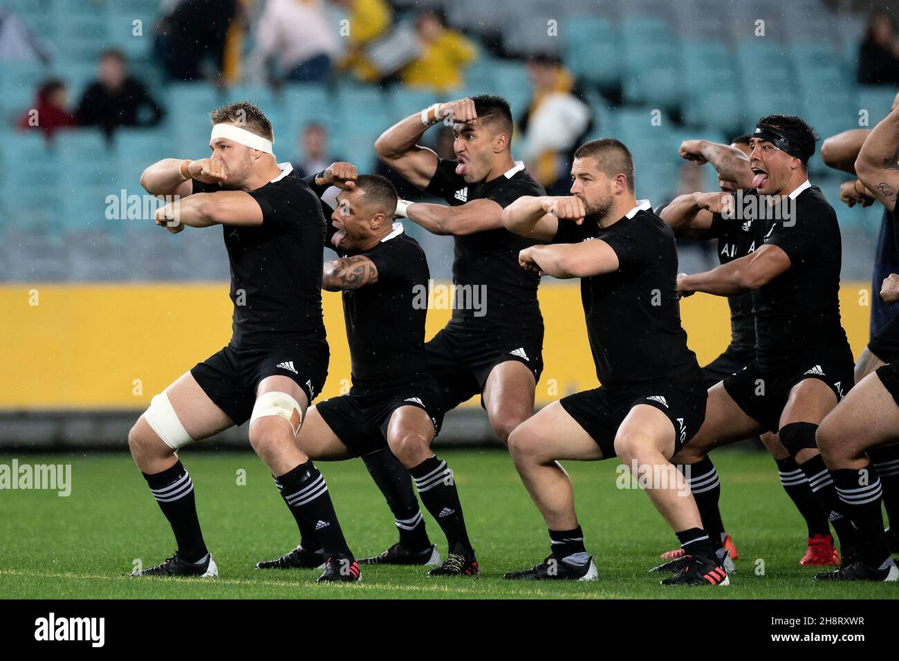 La Nuova Zelanda esegue l'Haka prima della partita della Bledisloe Cup tra i wallaby australiani e i neozelandesi All Blacks all'ANZ Stadium il 31 ottobre 2020 a Sydney, Australia. (Foto di Steven Markham/Speed Media) Foto Stock