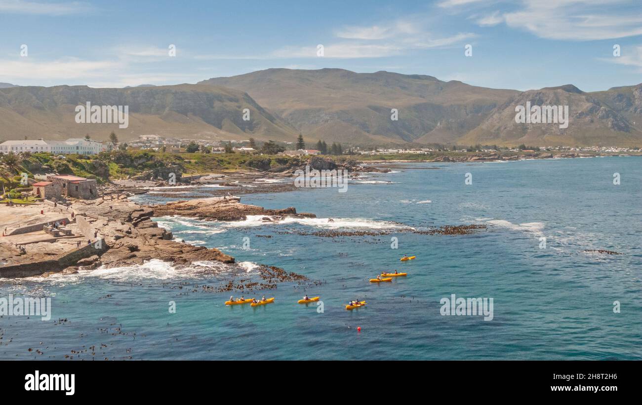 Kayakers pagaiare fuori dal vecchio porto di pesca a Hermanus, Capo Occidentale, Soth Africa. Foto Stock