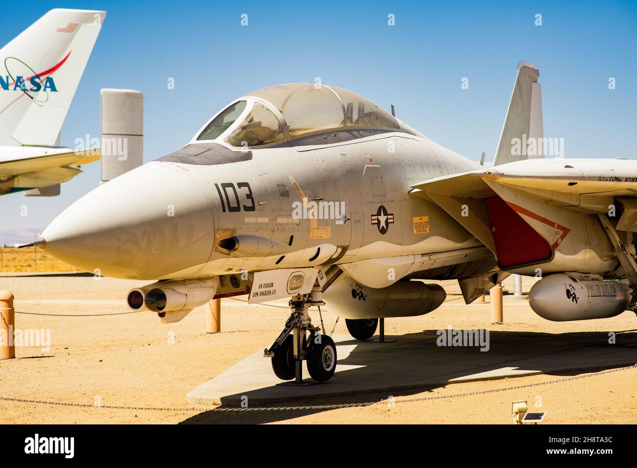 Northrop Grumman F-14 Tomcat Foto Stock