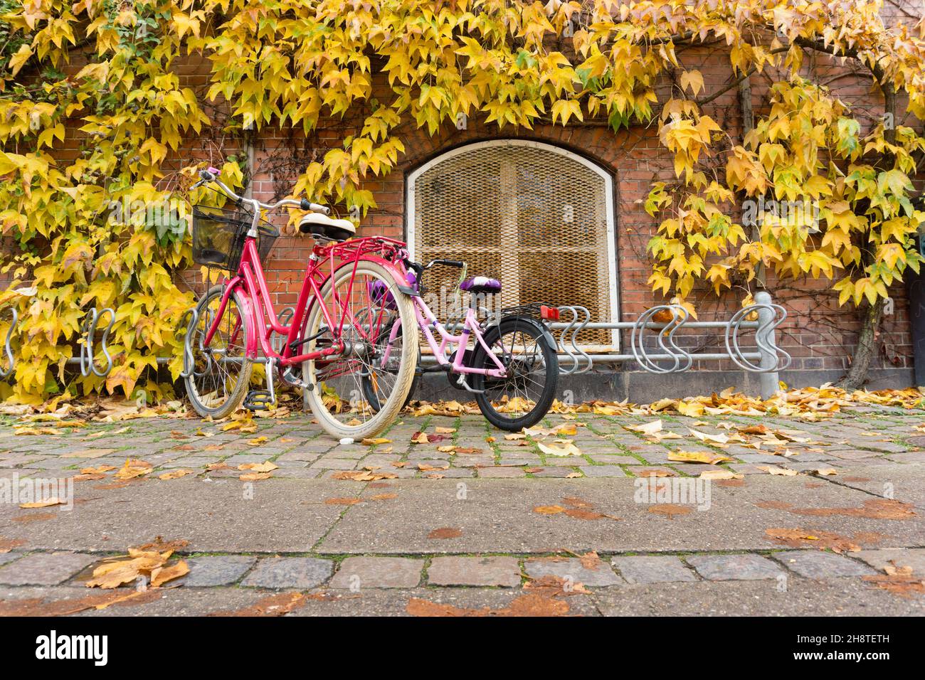 Copenhagen, Danimarca - 31 ottobre 2021: Facciata dell'edificio, coperta da foglie dai colori tipici dell'autunno, con biciclette parcheggiate di fronte all'wa Foto Stock