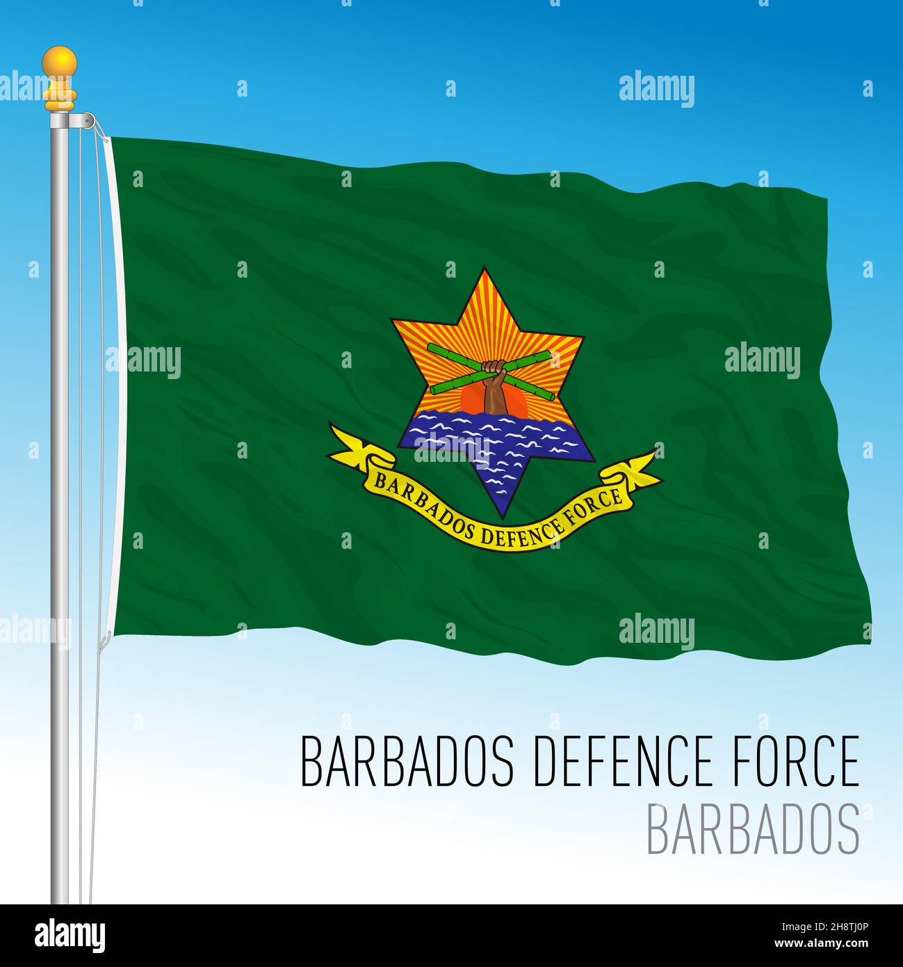 Bandera Barbados Defense Force, Barbados Republic, illustrazione vettoriale Illustrazione Vettoriale