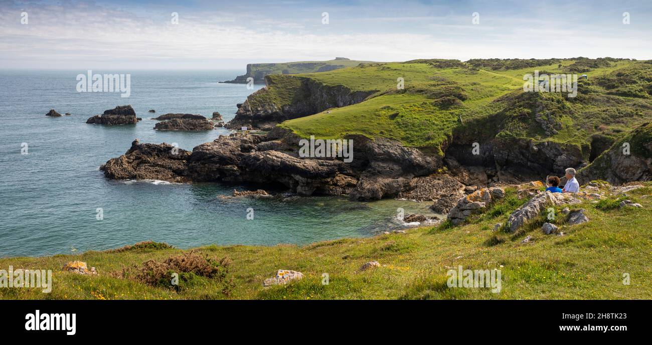 Regno Unito, Galles, Pembrokeshire, Bosherston, Broad Haven, Lungo Matthew Point da Trevallen Downs, panoramico Foto Stock