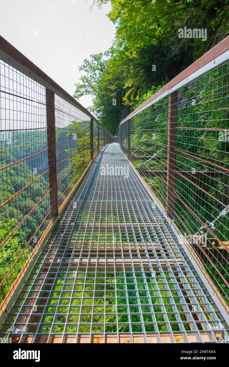 okatse l'attrazione naturale più popolare in georgia Foto Stock