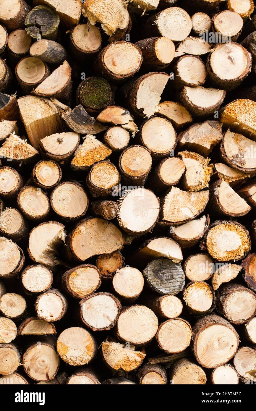 semplice mucchio di legno Foto Stock