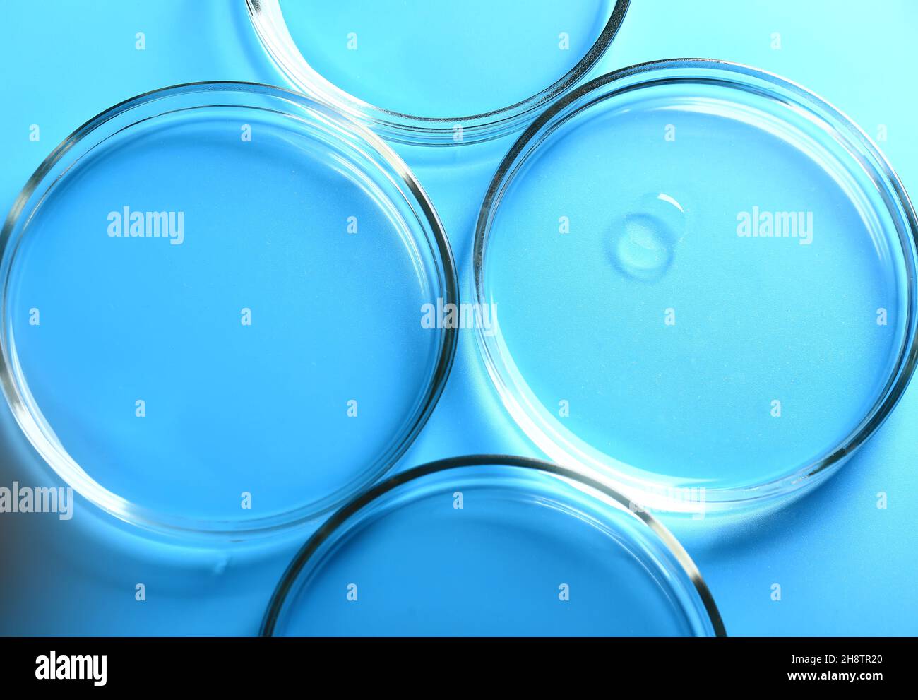 Astratto cosmetologia medica sfondo blu da piatti Petri in vetro. Foto Stock