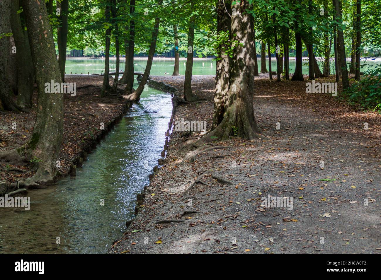 Piccolo laghetto nella foresta di Stadtwald ad Augusta, Germania Foto Stock