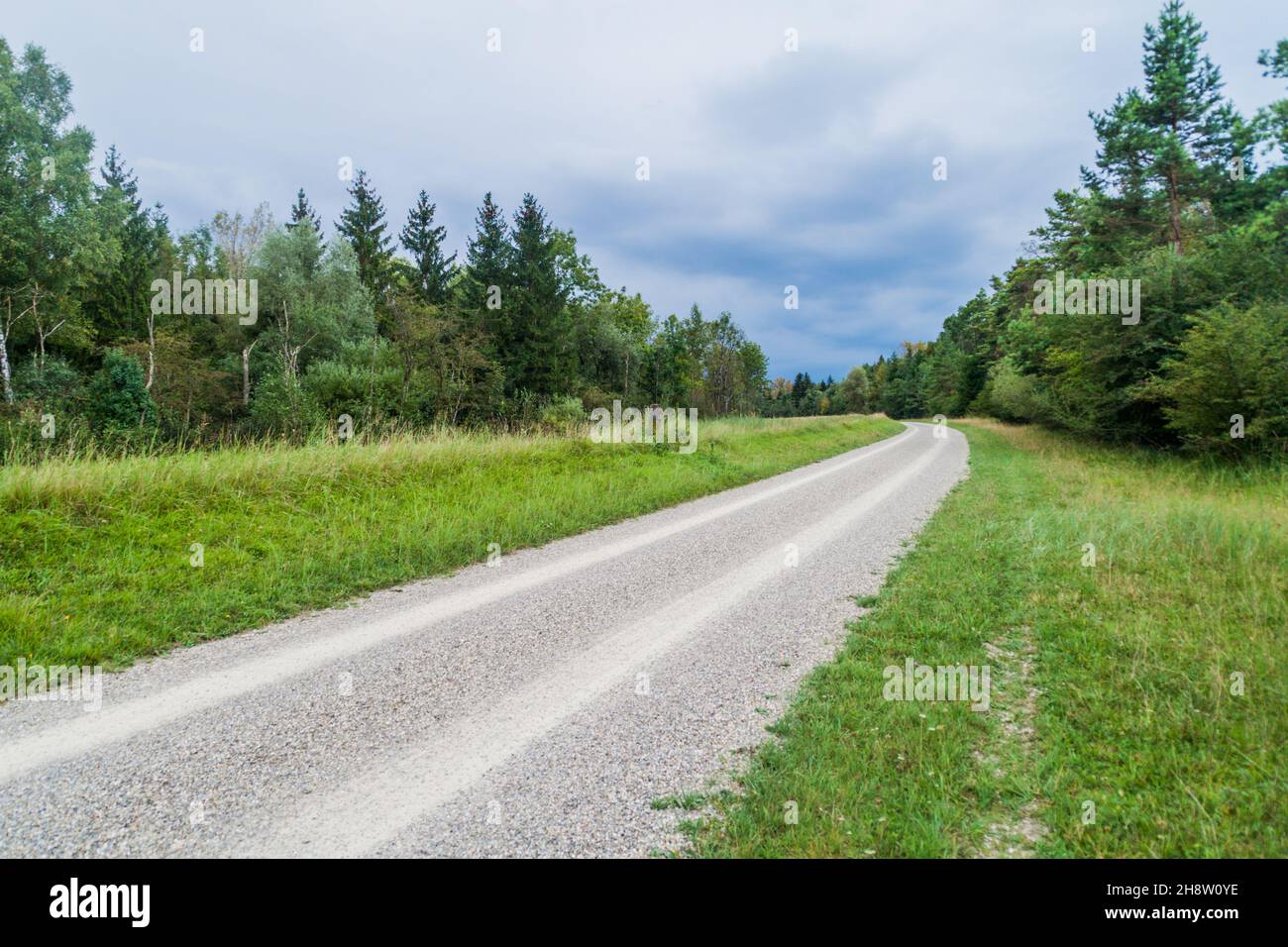 Strada sterrata nella foresta della città di Stadtwald ad Augusta, Germania Foto Stock