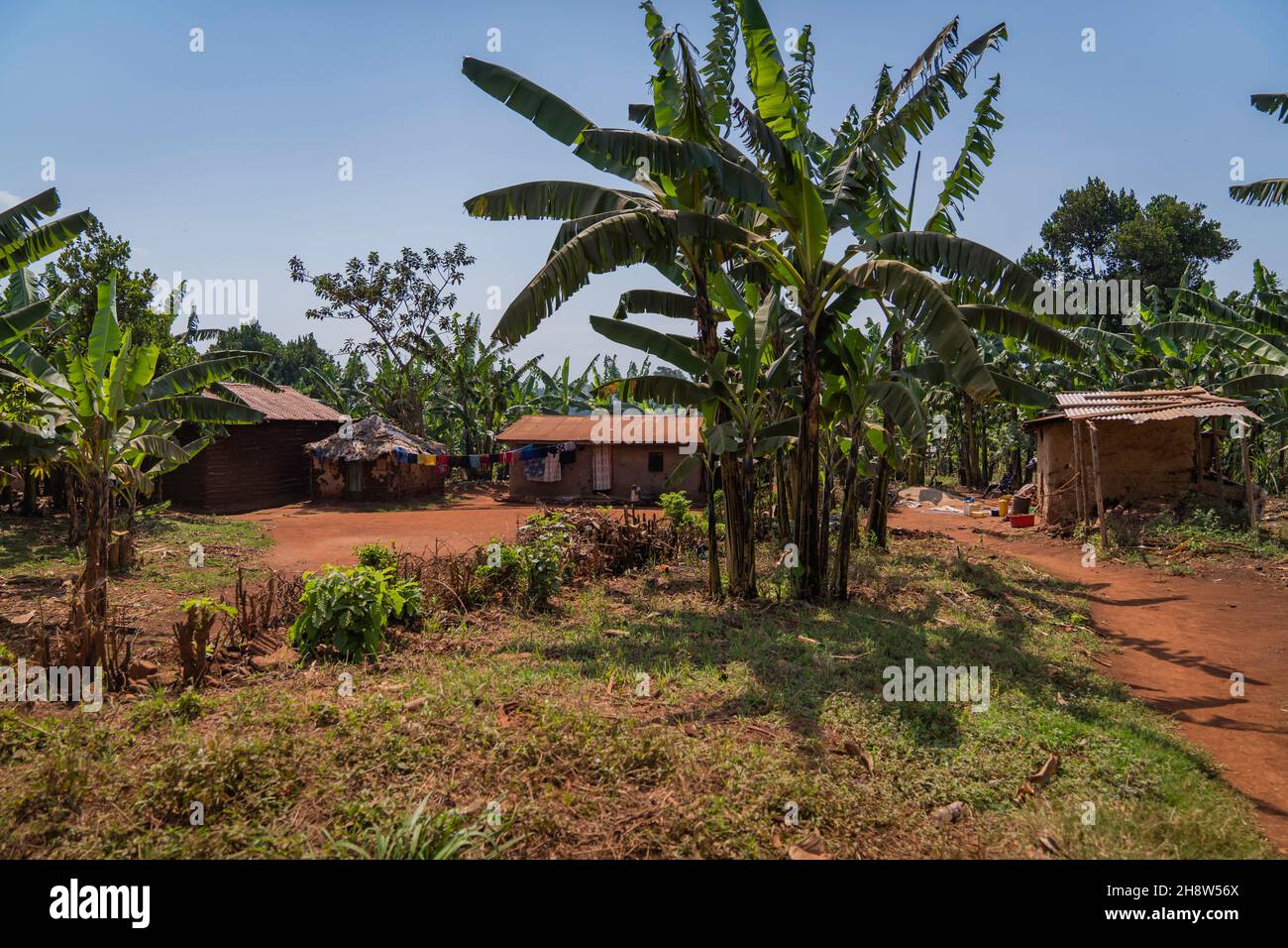 Buikwe è un piccolo villaggio Foto Stock