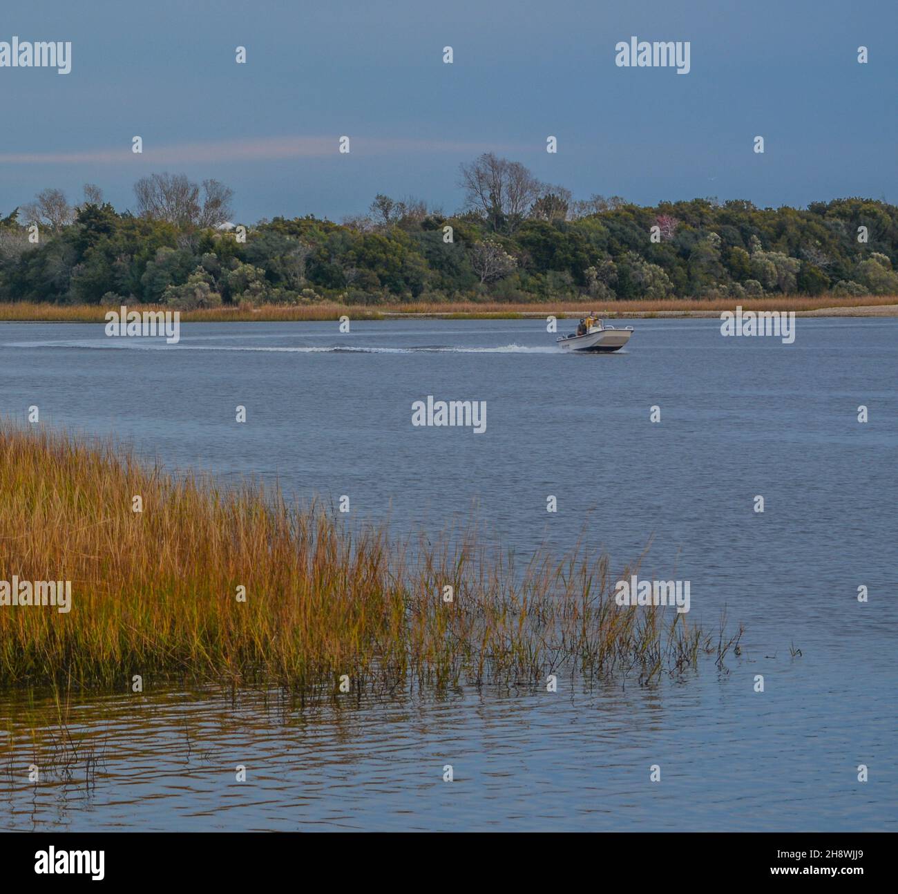 Questa palude delle zone umide fa parte della città di Seaside di Sunset Beach, nella contea di Brunswick, Carolina del Nord Foto Stock