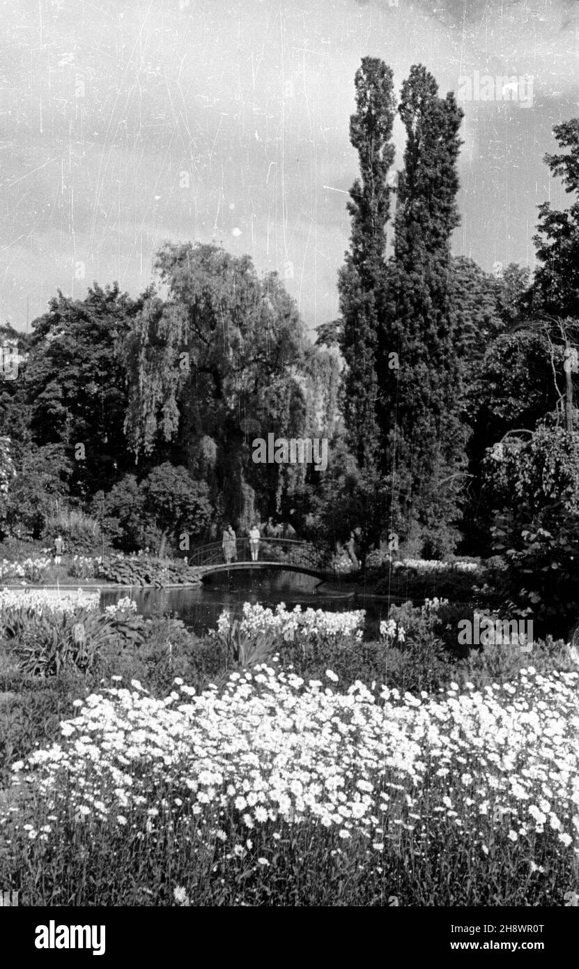 Kraków, 1946. Planty, jeden z niewielu istniej¹cych w Europie parków, za³o¿onych w miejscu wyburzonych latach 1810-1814 Murów obronnych. Zajmuj¹ ok. 20 hektarów i ci¹gn¹ siê ponad 4 chilometria gr PAP Dok³adny miesi¹c i dzieñ wydarzenia nieustalone. Cracovia, 1946. Le piante, uno dei pochi parchi europei piantati sulle mura di difesa distrutte tra il 1810 e il 1814. Il parco si estende su una superficie di circa 20 ettari per oltre quattro chilometri. Gr PAP Foto Stock