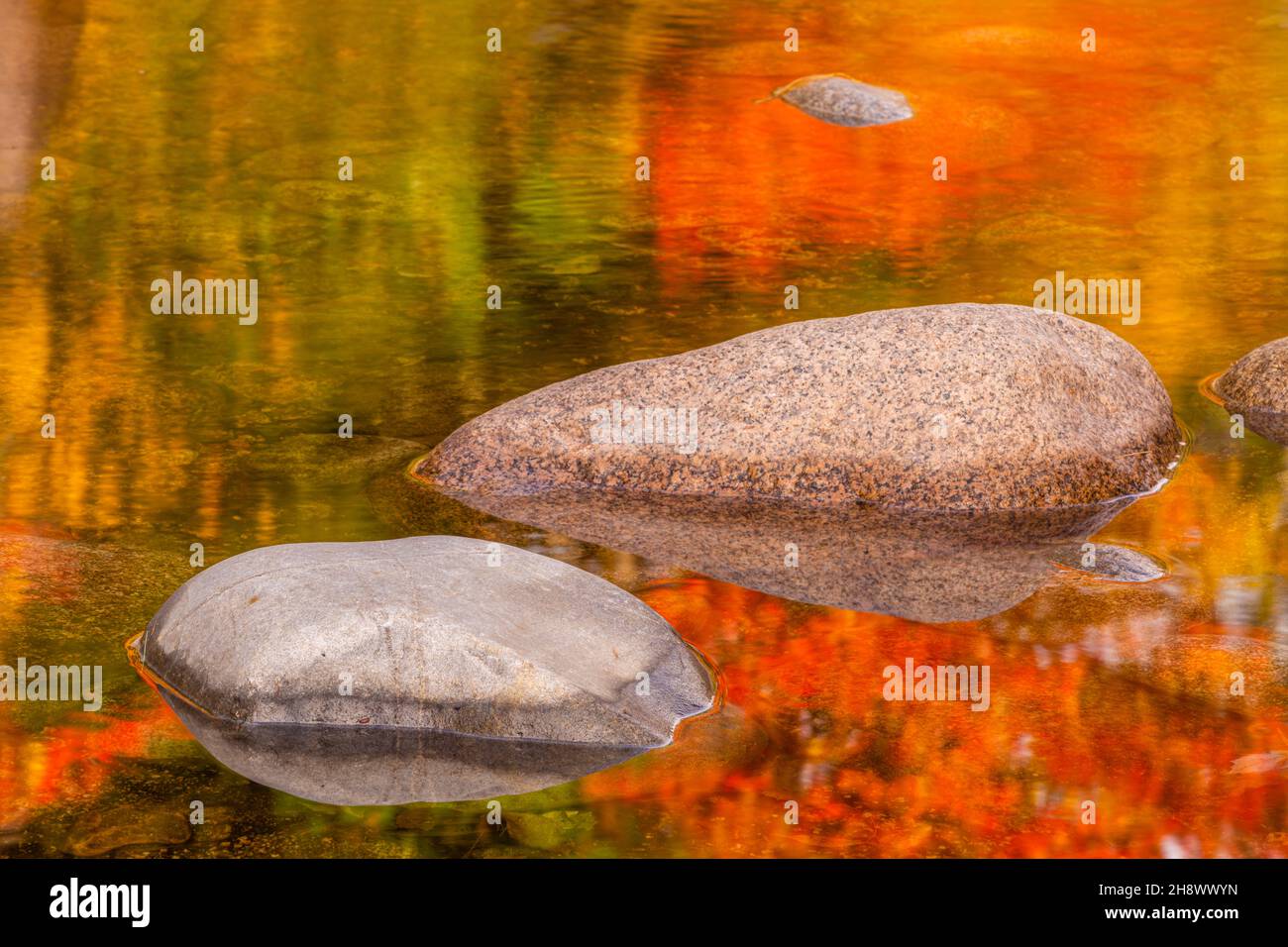 Riflessi autunnali in una tranquilla piscina del fiume Swift, Lower Falls Scenic Area, Albany, New Hampshire, USA Foto Stock