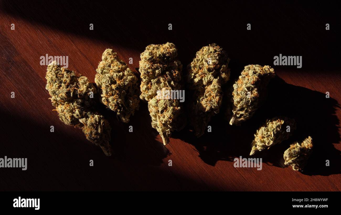 Germogli di cannabis in fila su sfondo di legno scuro. Vista dall'alto, primo piano di fiori secchi di canapa. Marijuana essiccazione e cura. Weed roba, legale CBD ricreatio Foto Stock