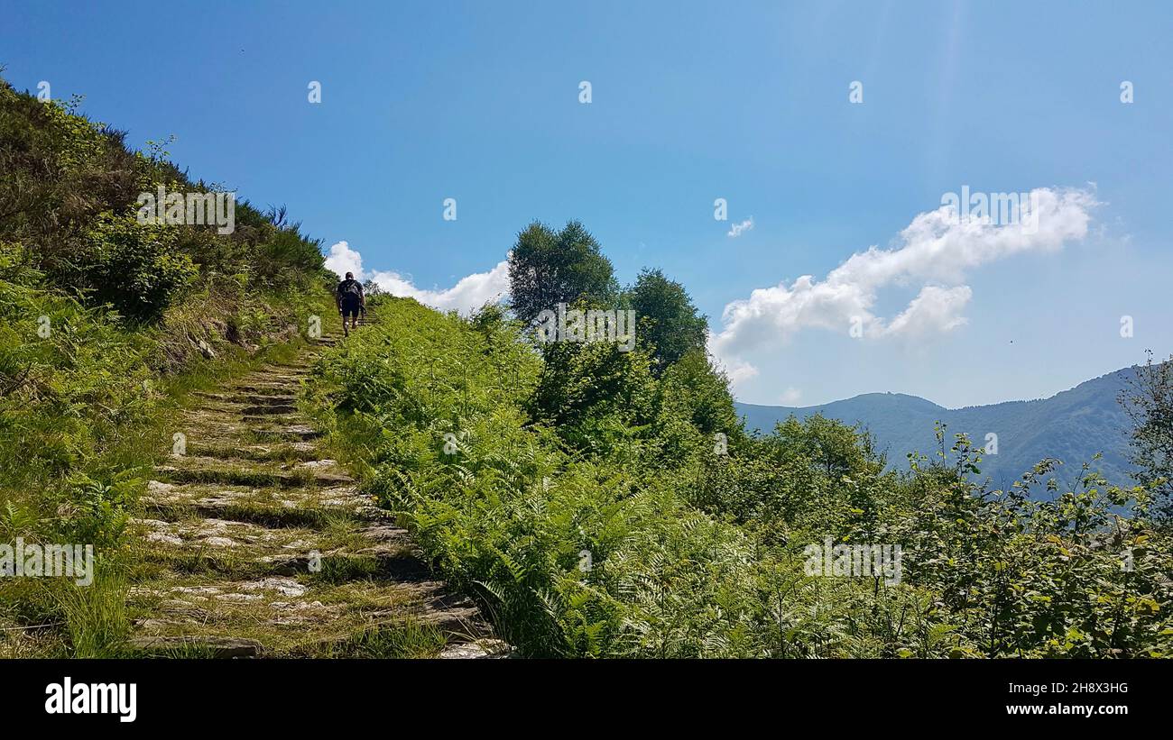 Mulattiera in pietra a cima Sasso in Val Grande, parco nazionale piemontese. Foto Stock