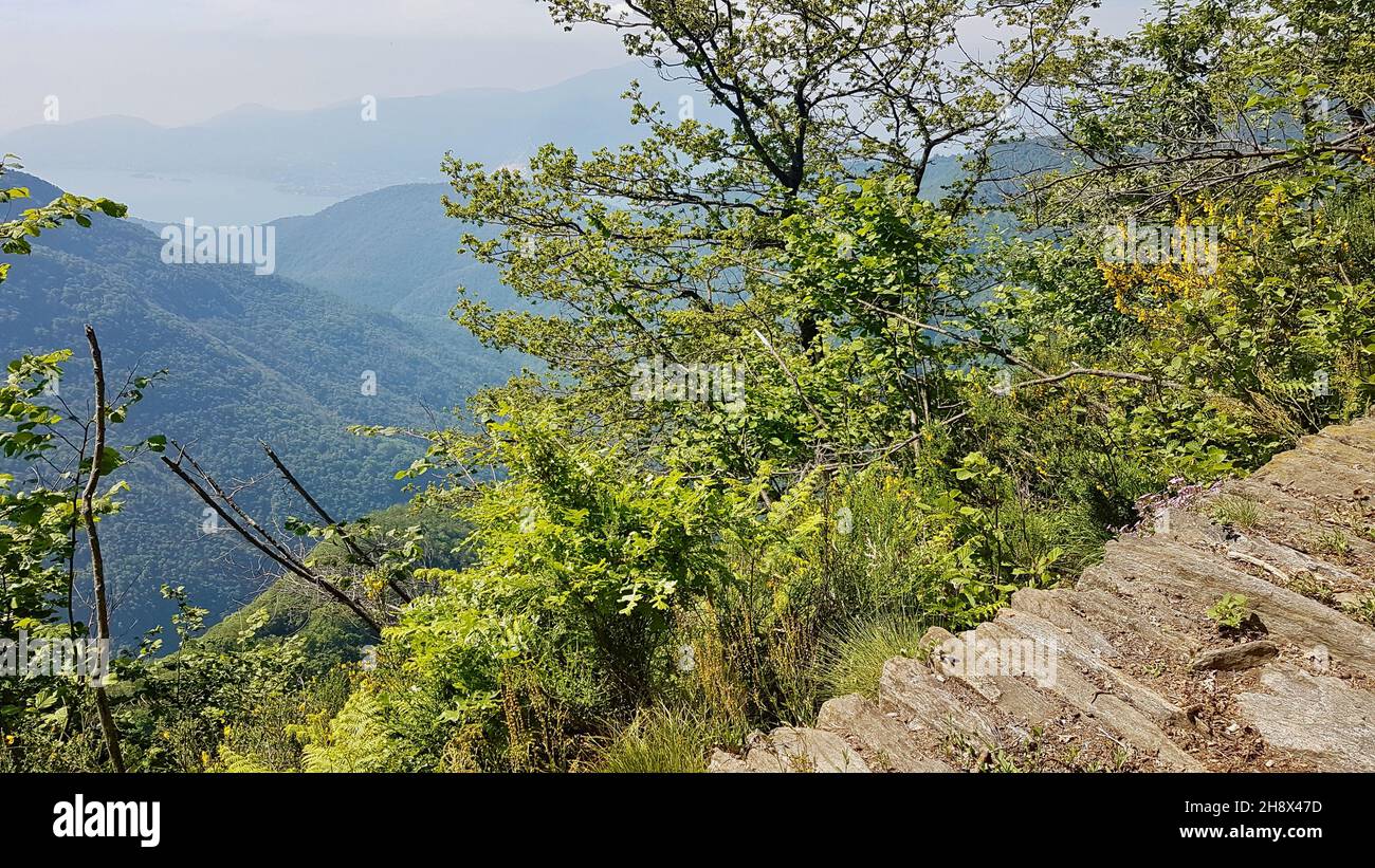 Mulattiera a cima Sasso nella selvaggia Val Grande, vista sul Lago maggiore. Parco Nazionale in Piemonte. Foto Stock