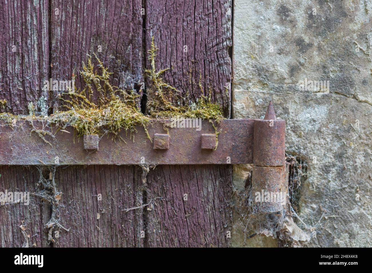 Cerniera in ferro su una vecchia porta in legno trovata in un castello francese abbandonato nella Valle della Loira Foto Stock