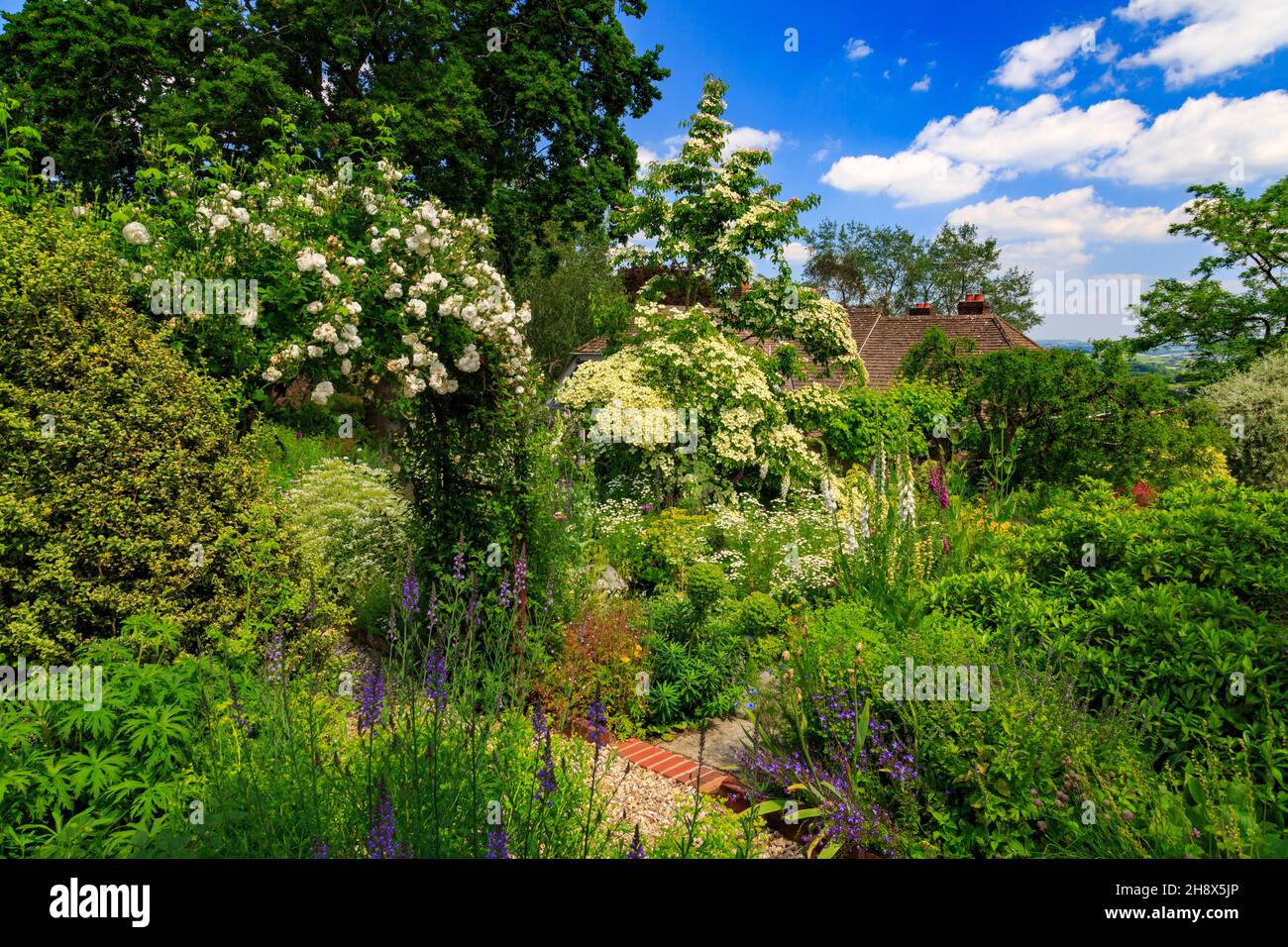 The Terrace Garden at Burrow Farm Garden – creato da Mary Benger dal 1966 a Devon, Inghilterra, Regno Unito Foto Stock