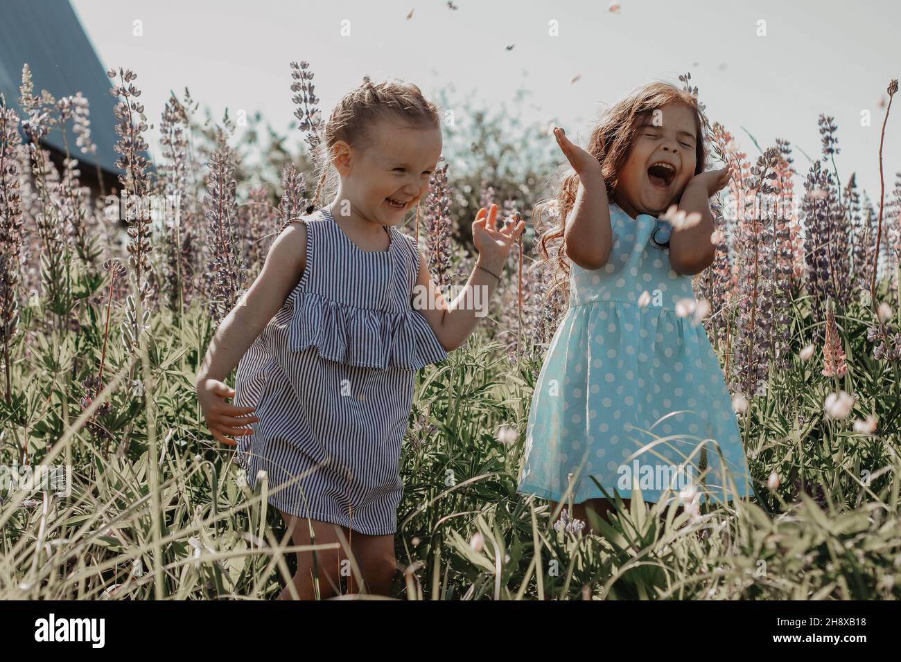 Migliore foto 2022 Foto Stock